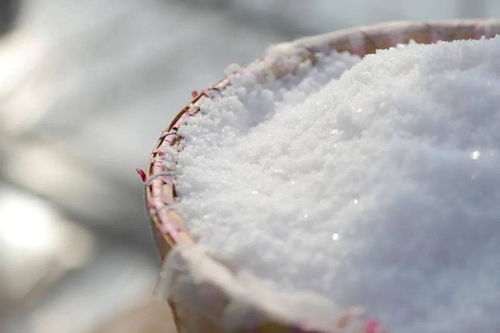 日本核污水排海，最该囤的不是食盐，而是这4样，每个人都别大意